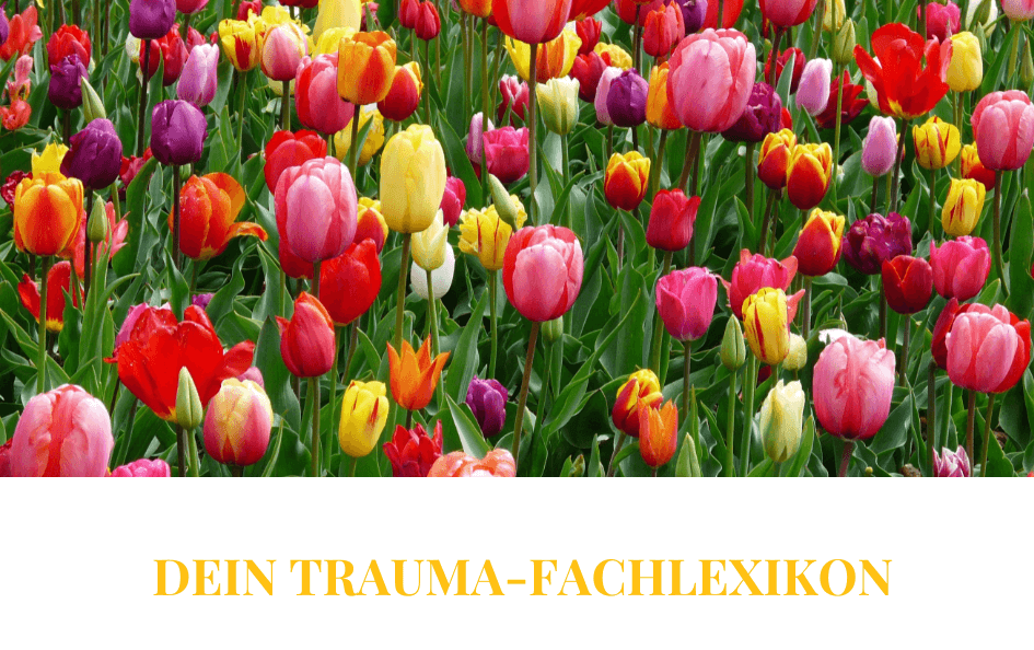 TRAUMA-GLOSSAR:  Die wichtigsten Begriffe zum Thema Trauma und Traumatherapie einfach erklärt.